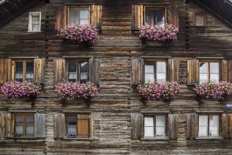 Old wooden house with geraniums in front of the windows in Zollstraße, Oberstdorf, Oberallgäu,