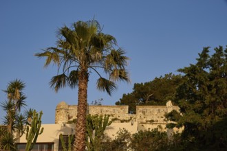 Fortezza, Venetian sea fortress, palm tree, fortress walls, corner towers, blue cloudless sky,