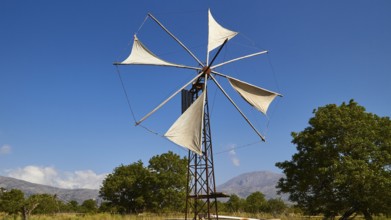 Windmill close, canvas, trees, blue sky, few white clouds, Lassithi plateau, Lassithi, East Crete,