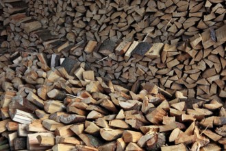 Firewood, split logs