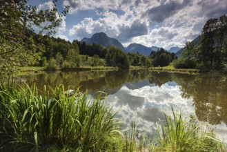 Moor, moor pond, reflection in the water, behind Allgäu Alps, Oberstdorf, Oberallgäu, Allgäu,