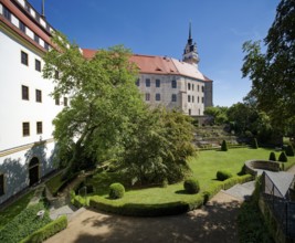 Rose Garden, Hartenfels Castle, Torgau, Saxony, Germany, Europe