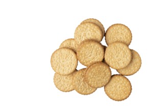 Group of double biscuits on white, copy room