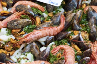 Giant prawn, Mussels, Close, Markets, Open air, Palermo, Capital, Sicily, Italy, Europe