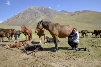 Young Kyrgyz milks mare on her summer pasture, West Karakol Valley, Tien Shan Mountains, Naryn