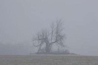 First snow in the Eastern Ore Mountains too