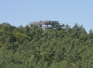 Treetop Walk viewing platform, Heringsdorf, Usedom, Mecklenburg-Western Pomerania, Germany, Europe