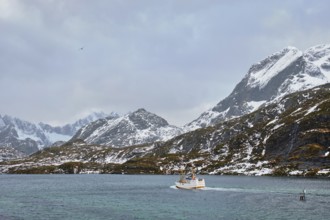 Fishing ship boat in Norwegian fjord. Lofoten islands, Norway, Europe