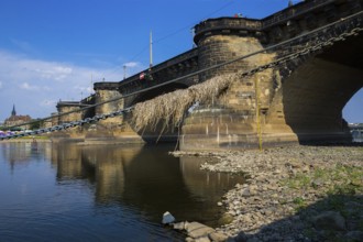 Low water in the Elbe in Dresden