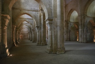 Nave of the Cistercian Abbey of Fontenay, Unesco World Heritage Site, Cote dOr, Burgundy, France,