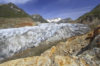 Wannenhorn, Aletsch Glacier, Valais, Switzerland, Europe