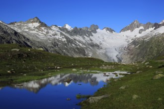 Oberaarhorn, 3638 m, Finsteraarhorn, 4274 m, Bernese Oberland, Bernese Alps, Switzerland, Europe