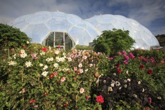 Botanical garden Eden Project, Bodelva, Cornwall, England, United Kingdom, Europe