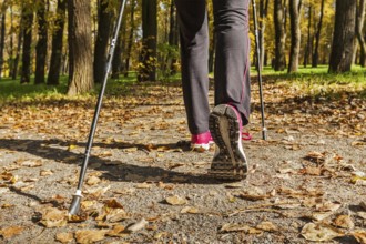 Nordic walking adventure and exercising concept, woman hiking, legs and nordic walking poles in