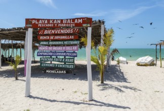 Painted wooden beach signs at Playa Kan Balam, Celestun, Yucatan, Mexico, Central America