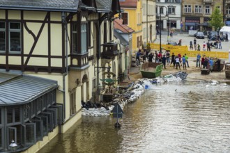 Flooding in Dresden at the Schillergarten