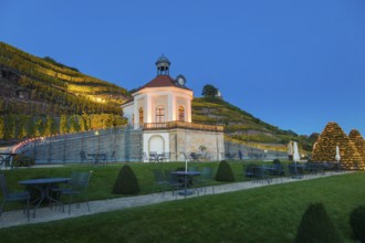 Autumnal evening mood at the Wackerbarth Castle Winery