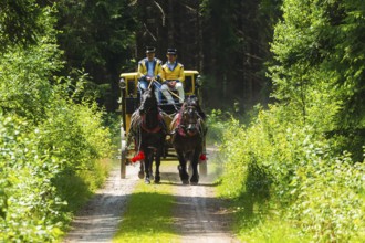 8th stagecoach meeting in Grillenburg