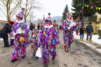 111th boatmen's carnival in Prossen