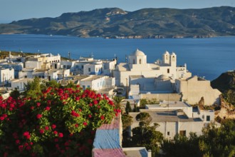 Picturesque scenic view of Greek town Plaka on Milos island over red geranium flowers. Plaka