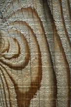 Close up of a plank of wood