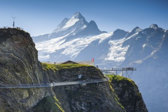 Schreckhorn, 4078 m, First cliff path, Switzerland, Europe