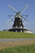 Nordermühle windmill, Pellworm, North Frisia, Schleswig-Holstein, Germany, Europe