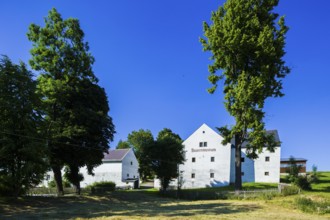 Liebenau is a district of Altenberg in the Osterzgebirge mountains in Saxony with about 400