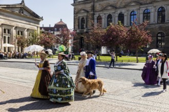 Return of the oranges from their winter quarters to the Dresden Zwinger