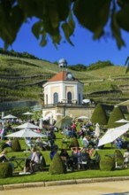 Winery Wackerbarth Castle