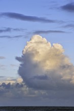 congestus, towering cumulus clouds (Cumulus) over the sea formed by the development of cumulus