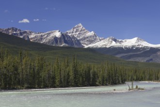 Athabasca River with glacial meltwater carrying rock flour in front of the Rocky Mountains, Jasper