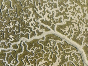 Network of dry channels and streams at low tide, in the marshland of the Bahía de Cádiz, aerial