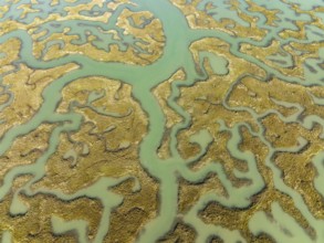 Network of channels and streams at low tide, in the marshland of the Bahía de Cádiz, aerial view,