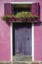 Front door and window with flowers and pink shutters, detail of a house facade, colourful houses on