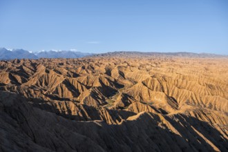 Landscape of eroded hills, white peaks of the Tien Shan Mountains in the background, Badlands,