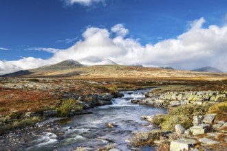 Autumnal mountain landscape with river Store Ula, Rondane National Park, Norway, Europe