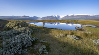 Tourist standing on the lakeshore, reflection in a lake, view of glacier tongues Skaftafellsjökull