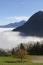 Fog in the valley, inversion weather situation on the panorama trail on the Adersberg, near Rottau,