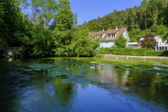 Aachquelle, Aachtopf, Radolfzeller Aach, Aach, Hegau, Baden-Württemberg, Germany, Europe