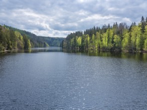 Burgkhammer Dam in spring, Burgk, Thuringia, Germany, Europe