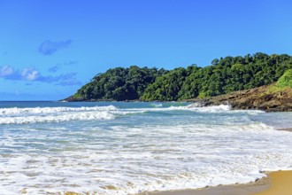 Tiririca beach with its waves and rainforest in the city of Itacare on the coast of Bahia