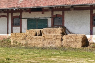 Old rectangular hay bales stored in front of old abandoned farm building