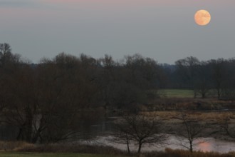 Full moon rising over the Mulde River, Middle Elbe Biosphere Reserve, Saxony-Anhalt, Germany,