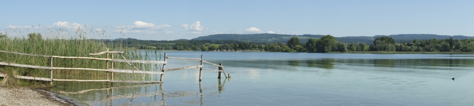 Fence on the shore of Lake Constance, nature reserve, Mettnau peninsula, Radolfzell, Lake