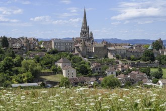 View of the town of Autun with the Saint-Lazare Cathedral, Département Saône-et-Loire, Region