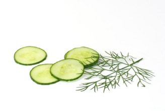 Snake cucumber, cucumber slices and Dill (Anethum graveolens) cucumber, cucumber herb