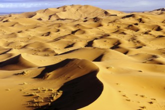 Morocco, Erg Chebbi desert, dunes, Africa