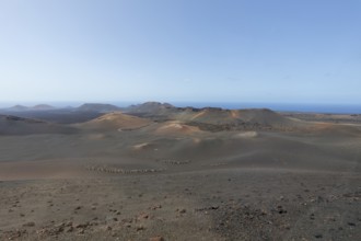 Volcanic landscape in Timanfaya National Park, Lanzarote, Canary Islands, Spain, Europe