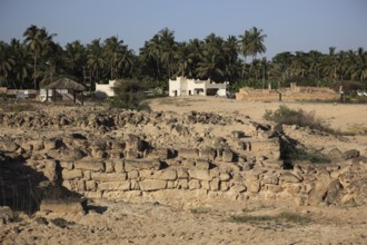 Settlement remains of the city and incense port of Al-Baleed, Unesco World Heritage Site, Salalah,